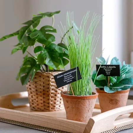 Pleasant Near The Center Of *