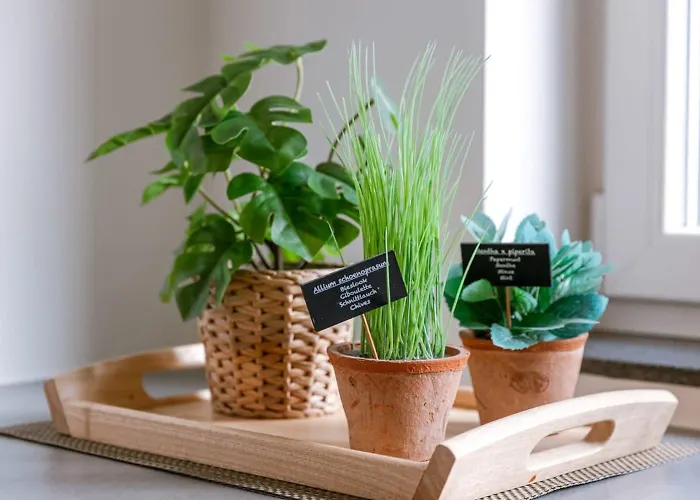 Pleasant Near The Center Of Apartamento *