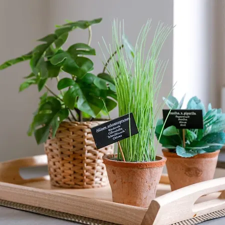 Pleasant Near The Center Of Apartment *