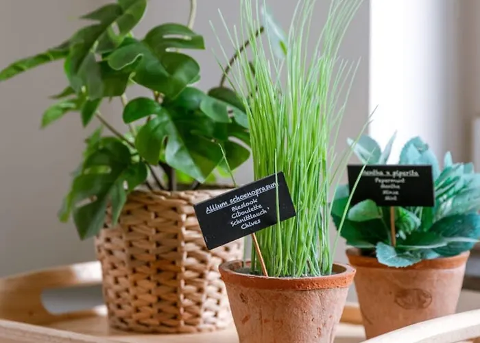 公寓 Pleasant Near The Center Of 根特